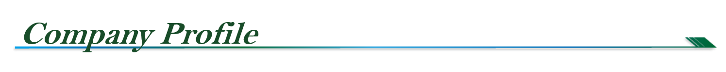 Company Profile