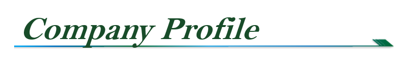 Company Profile